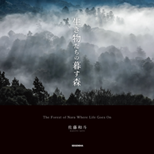 生き物たちの暮す森